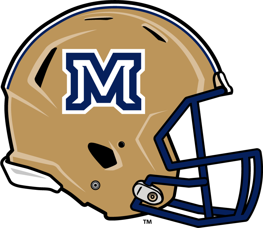 Montana State Bobcats 2013-Pres Helmet Logo DIY iron on transfer (heat transfer)